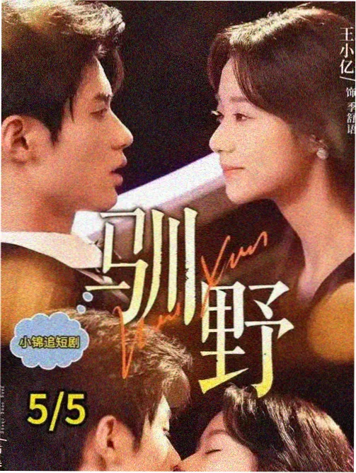 《雾港第七码头》续订资讯配图